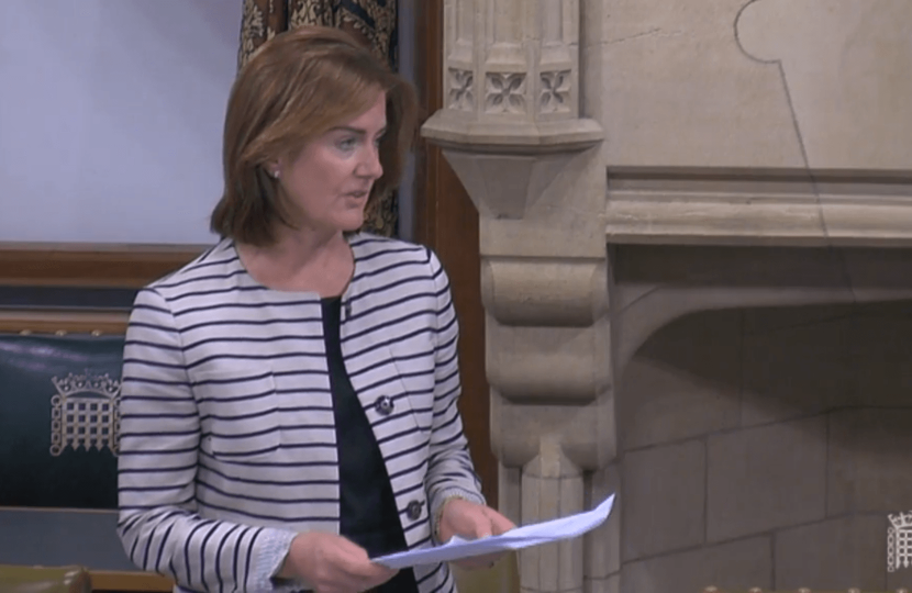 Lucy Allan in Parliament 